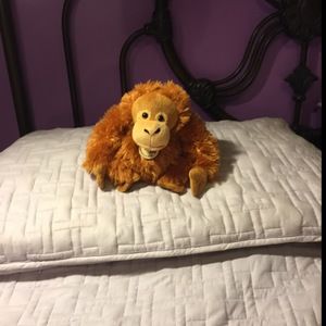 Meet your Posher, Barbara